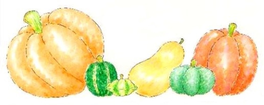 Toy squash Toy squash