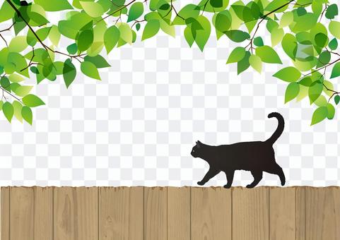 Fresh green and black cat Fresh green and black cat