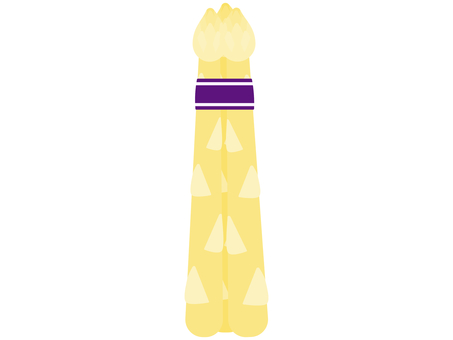 A bunch of white asparagus A bunch of white asparagus