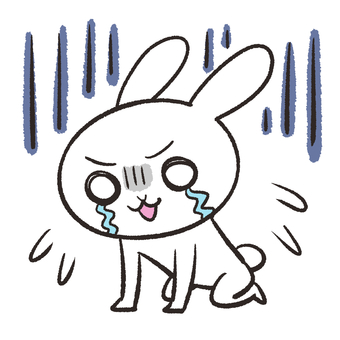 Rabbit crying Rabbit crying