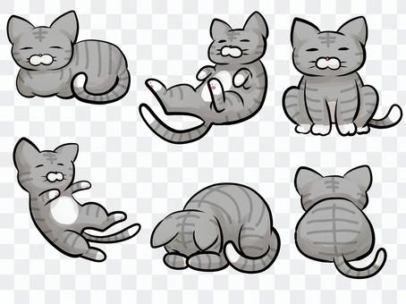 Loose cat material (Sabatra cat) Loose cat material (Sabatra cat)