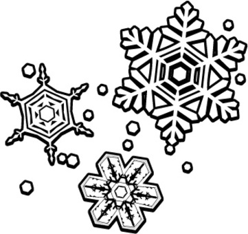 Snow crystal one point black and white Snow crystal one point black and white