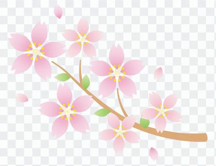 Sakura no Hana 09 Sakura no Hana 09