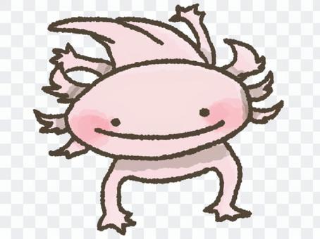 Wooper looper (Pink) Wooper looper (Pink)