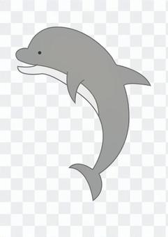 Dolphin 2 Dolphin 2