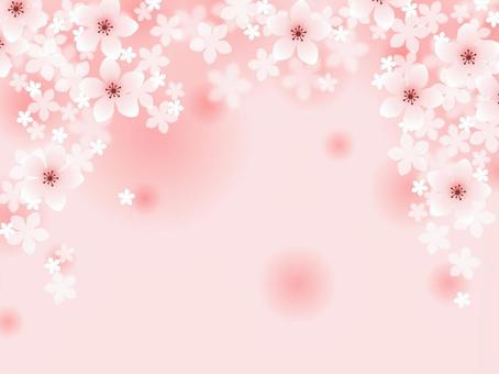 Peach blossom 05 Peach blossom 05