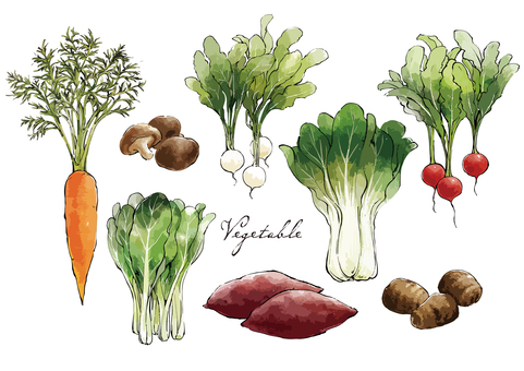 Hand-painted autumn vegetable set Hand-painted autumn vegetable set
