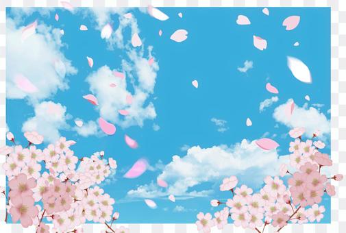 Sakura Tobu Blue Sky CS5 Sakura Tobu Blue Sky CS5