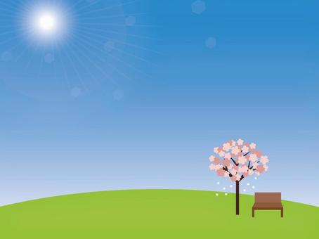 Image of park and cherry blossom viewing Image of park and cherry blossom viewing