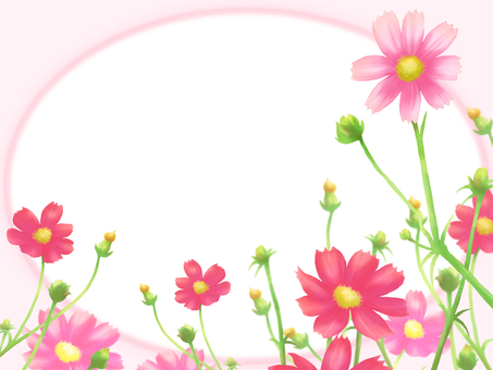 Flower frame card oval-autumn cosmos Flower frame card oval-autumn cosmos