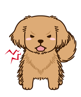 Angry and menacing golden retriever Angry and menacing golden retriever