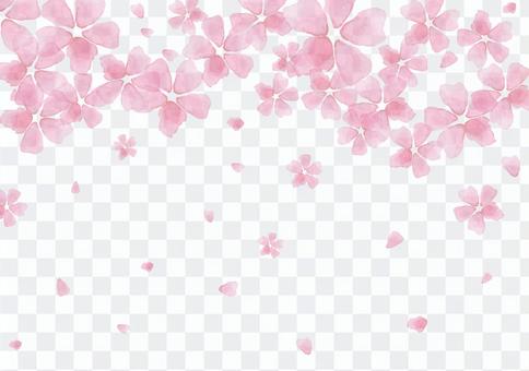 Spring Material 119 Cherry Blossoms in Watercolor Background Spring Material 119 Cherry Blossoms in Watercolor Background
