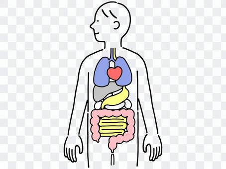 Image of cute and simple human figure Image of cute and simple human figure