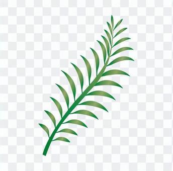 Fern leaf 2 Fern leaf 2
