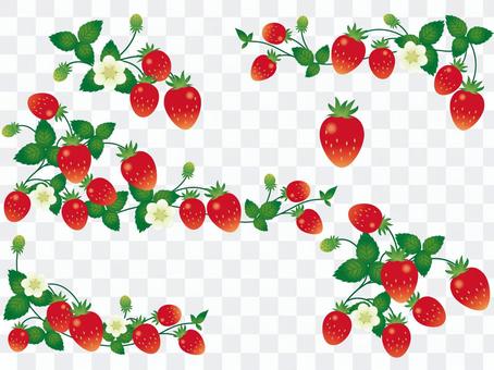Set of strawberries Set of strawberries