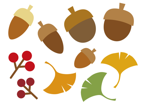 Autumn leaf and nut illustration Autumn leaf and nut illustration