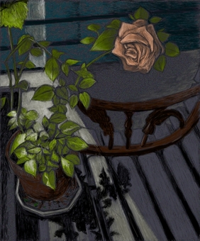 Rose at night Rose at night
