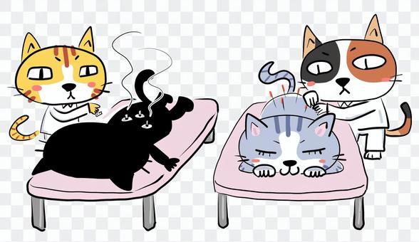 4 cats undergoing acupuncture and moxibustion treatment 4 cats undergoing acupuncture and moxibustion treatment