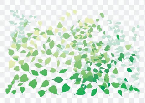 Buddhist leaves Buddhist leaves
