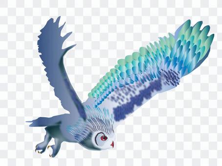 Fly 梟 02 Fly 梟 02