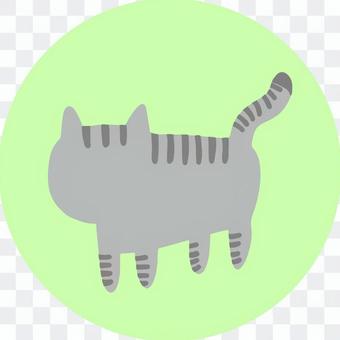 Cat's Sabatra Cat's Sabatra