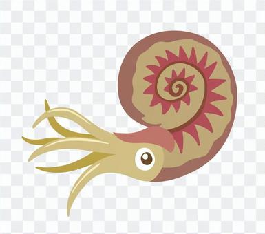 Ammonite-1 Ammonite-1