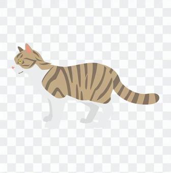 Cat - Whitehead Cat whale Cat - Whitehead Cat whale