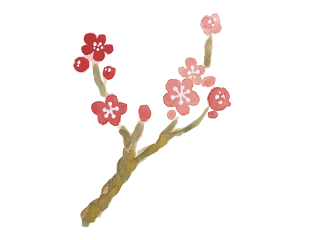 Plum blossom Plum blossom