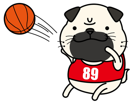 Pug's basketball shoot Pug's basketball shoot