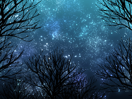 Starry sky Starry sky