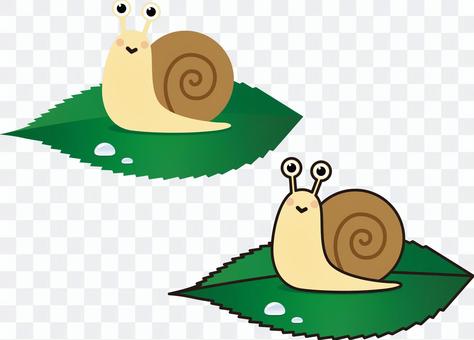 蝸牛(帶或不帶主線) 蝸牛(帶或不帶主線)