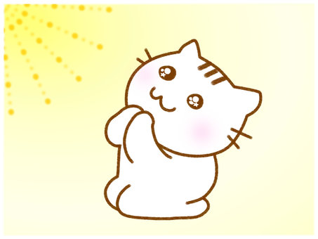 Pray 3 white cat Pray 3 white cat
