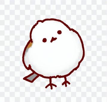 シマエナガの首かしげ シマエナガの首かしげ