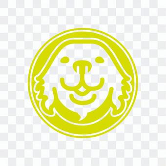 Golden retriever Moe yellow color Golden retriever Moe yellow color