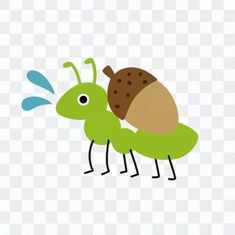 Yellow-green insects carrying acorns Yellow-green insects carrying acorns