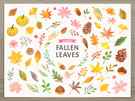 Autumn plant watercolor illustration set Autumn plant watercolor illustration set