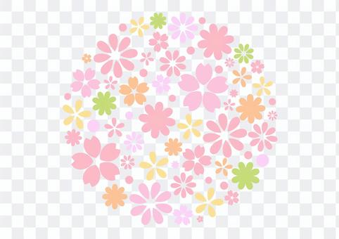 Cherry blossoms 256 Cherry blossoms 256