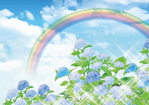 Rainbow and hydrangea Rainbow and hydrangea
