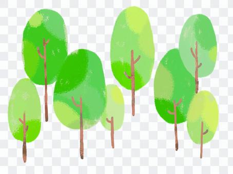 Wood・tree Wood・tree