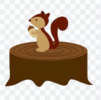 Squirrel meal Squirrel meal
