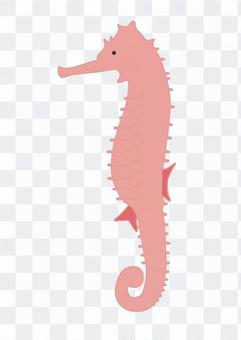 Seahorse 1 Seahorse 1