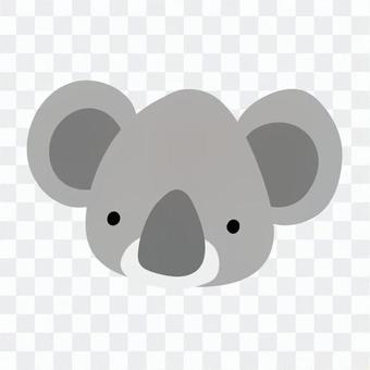 Koala's face Koala's face