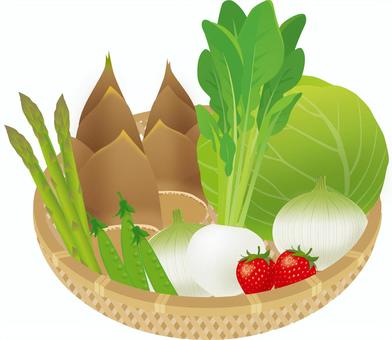 Spring vegetables Spring vegetables