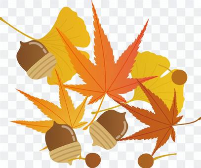 Small autumn 2016 / type f / uta Small autumn 2016 / type f / uta