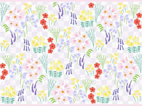 Various flower and plant wallpapers Various flower and plant wallpapers