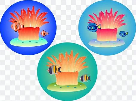 Sea anemone & tropical fish icon set Sea anemone & tropical fish icon set