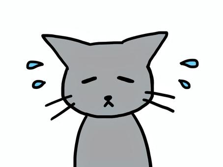 A depressed cat A depressed cat