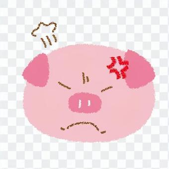 Occidental pig Occidental pig