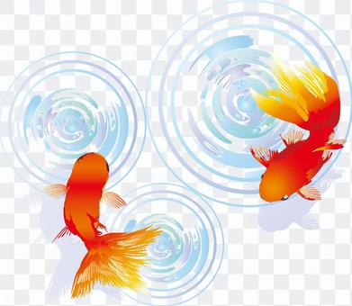Illustration goldfish summer festival fair decoration japanese style hand drawn animals Illustration goldfish summer festival fair decoration japanese style hand drawn animals