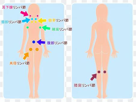 Systemic lymph nodes Systemic lymph nodes